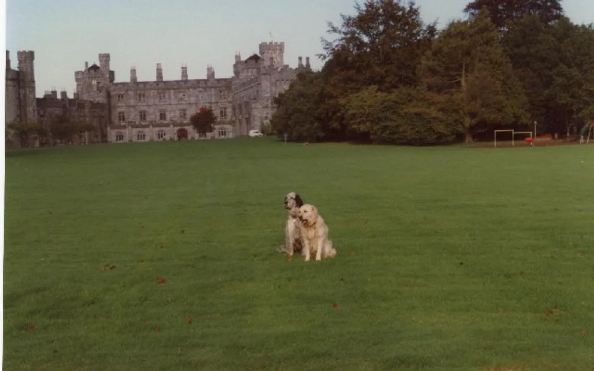 Kilkenny, County County Kilkenny, Ireland